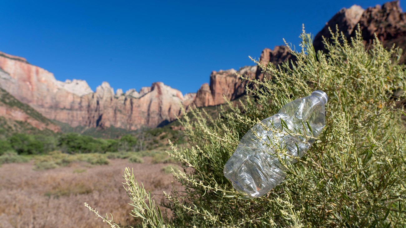 a plastic water bottle in a bush with sandstone cliffs in the background