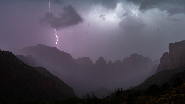 Purple lightning strikes above Zion's sandstone cliffs.