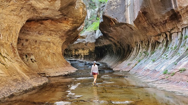A hiker walks through a creek in a slot canyon.