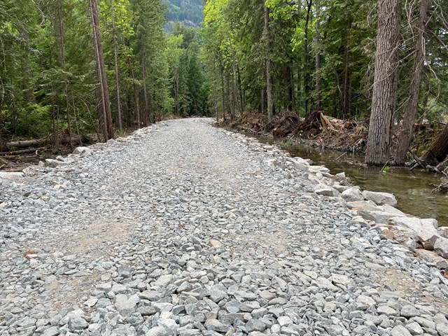 a long gravel road bed in a forest