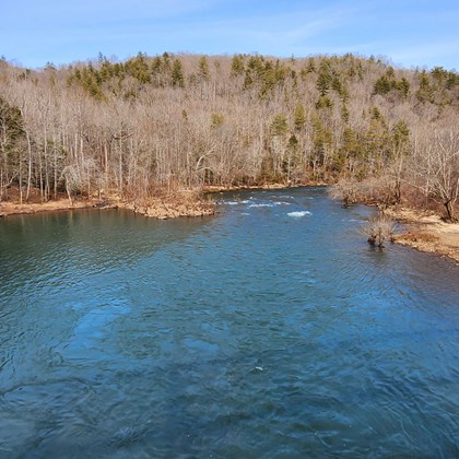 A mix of evergreen and winter-bare trees can be seen on both sides of the river.