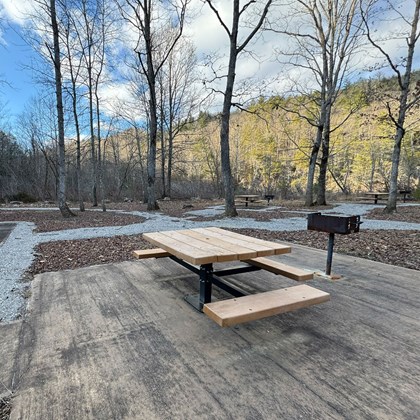 Picnic table and grill in front with wintery foliage in the background.