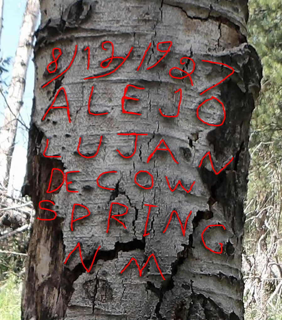 A historic tree carving found at Valles Caldera National Preserve.