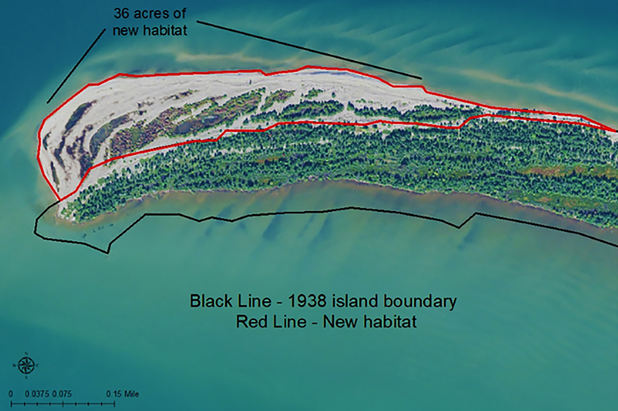 Historic black and white aerial photo of Long Island from 1938.