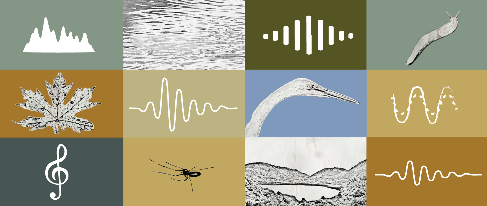 A grid of multi-colored box, each containing a black and white drawing of an animal, landscape, or sound symbol.