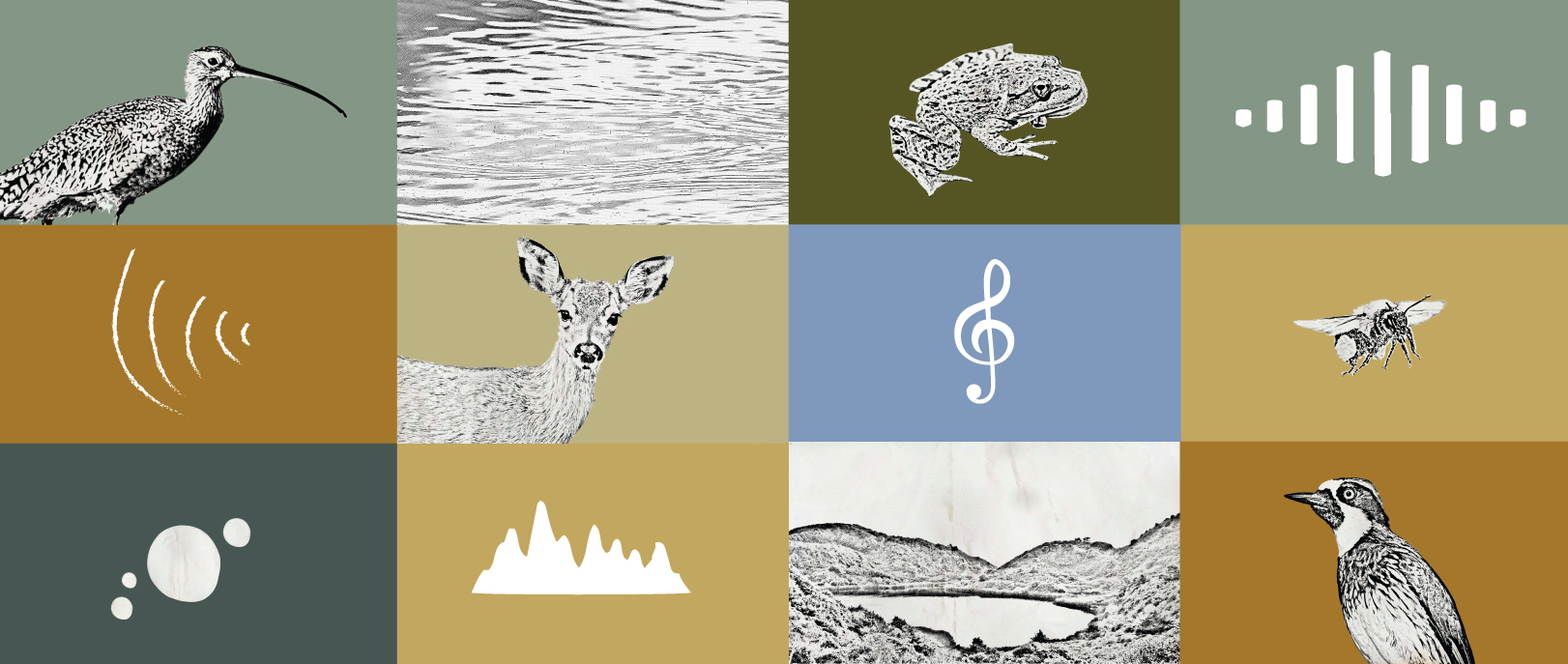 A grid of multi-colored box, each containing a black and white drawing of an animal, landscape, or sound symbol.