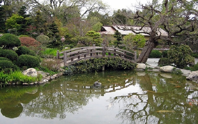 Color photo of pond with walking bridge and vegetation.  