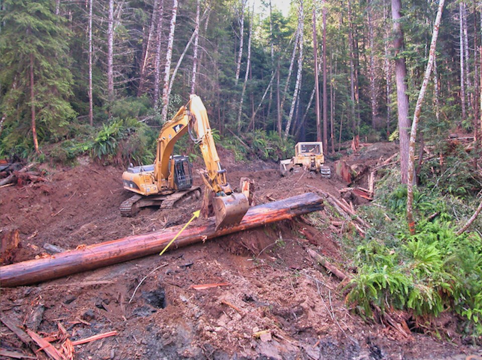 Tractor picking up large log on slope with redwoods