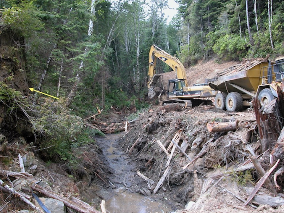 Heavy machinery excavate logs in creekbed
