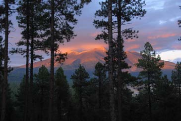 Montane forests and snow-covered alpine tundra on the San Francisco Peaks in northern Arizona.