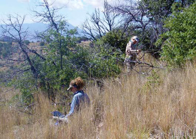 Two NPS staff in the field monitoring upland vegetation