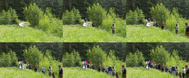 composite of six images each showing a forest with progressively more people