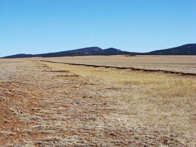 Trail ruts still visible out to the horizon in the grassland of Fort Union National Monument