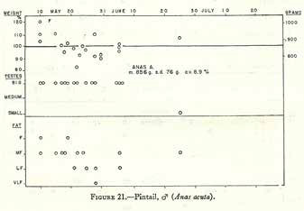 image of an old hand draw graph