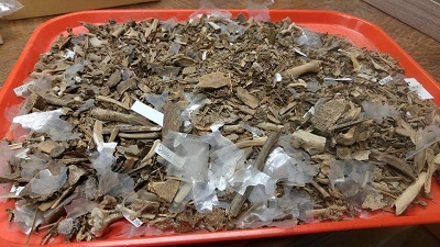 Unsorted sample of animal remains