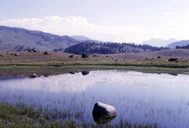 A kettle pond in Lamar Valley (Yellowstone National Park, WY-MT-ID)
