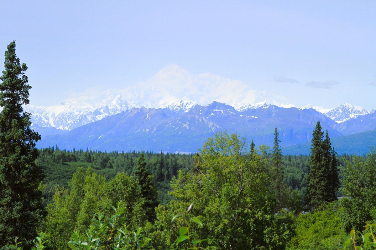 A view of forest, with a group of mountains behind the forest, and a large singular mountain behind.
