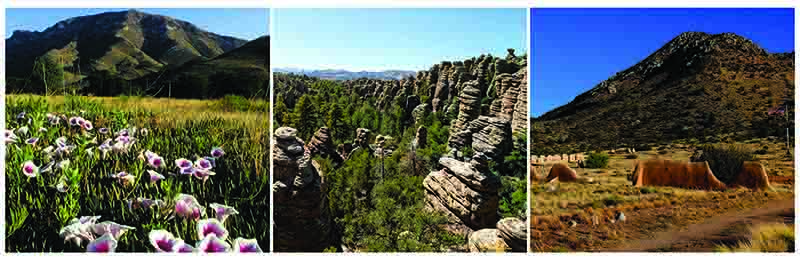 Three photos depicting each of the three parks in the Southeast Arizona Group