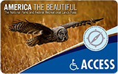 Access Pass with image of an owl flying over a grassy field
