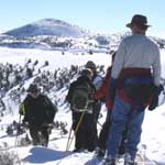 Ranger guided walk