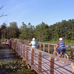 Bicyclists on the Towpath Trail over the beaver marsh. Bicyclists on the Towpath Trail over the beaver marsh.