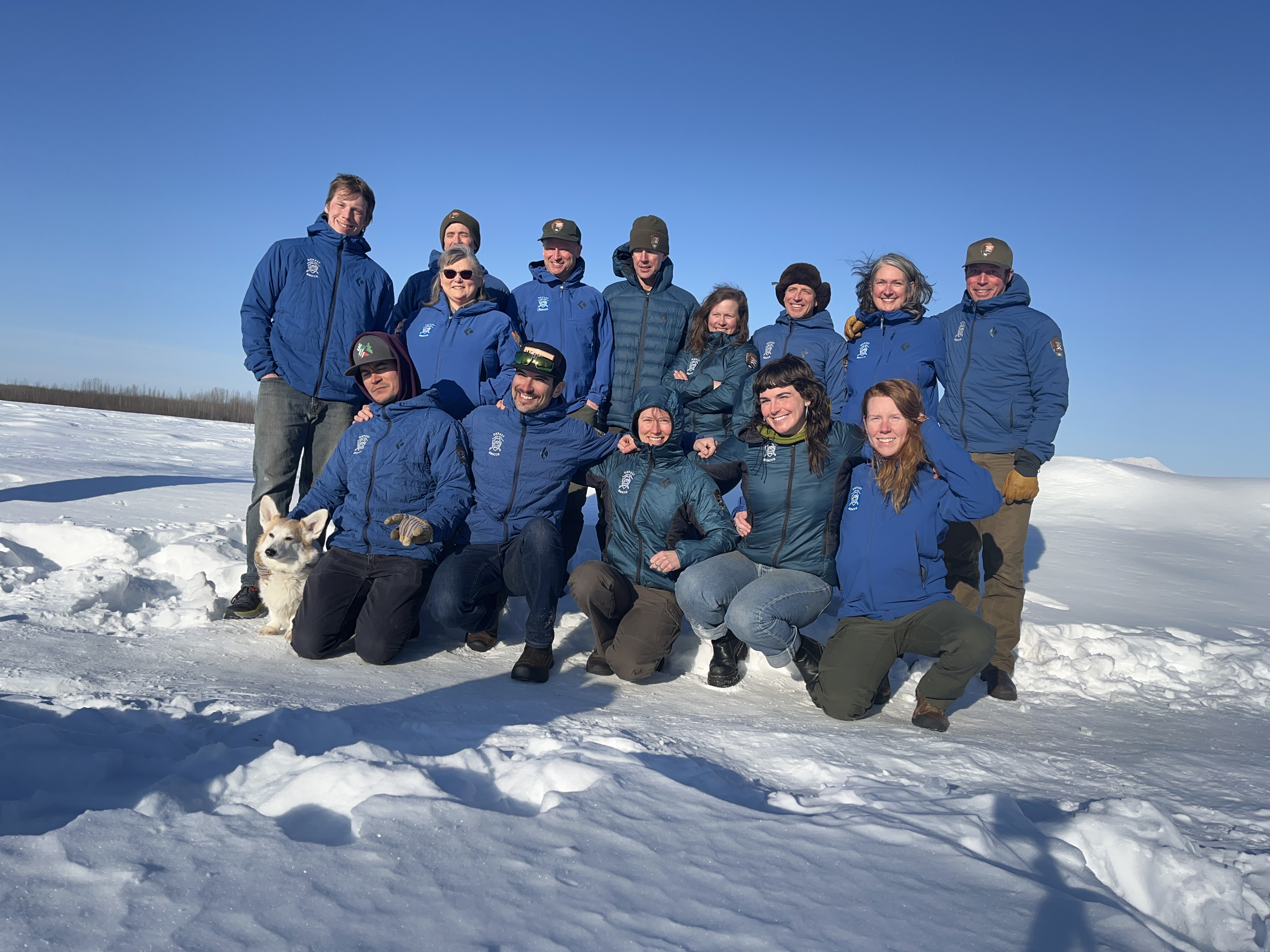 A Welsh corgi and a team of 14 rangers in blue winter jackets pose on a snowbank on a sunny day.