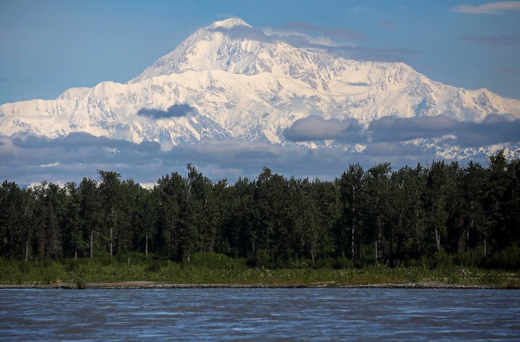 Snowy Denali appears to hover above the tree tops with the Susitna River in the foreground