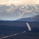 The Denali Park Road