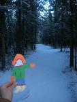 Flat Stanley