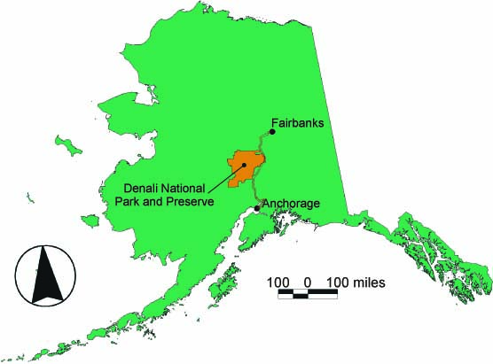 By road, Denali's entrance is located 120 miles south of Fairbanks, and 237 miles north of Anchorage.