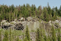 Nature and Science