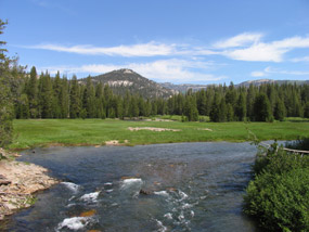 Soda Springs Meadow from the Soda Springs Bridge