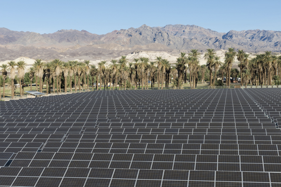 Solar panel array at The Ranch at Death Valley. Photo credit: The Oasis at Death Valley. A large solar panel array take up most of the photo. In the background are palm trees, then distant desert mountains.