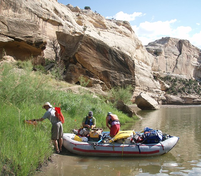 An inflatable raft loaded with gear is pulled up to a grassy river bank. A person wearing a hat, shorts, and sandals puts pinflags into the grass. Two other people work on tasks in the raft. Canyon walls rise in background.