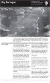 Bird Key Wreck Information