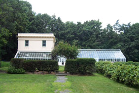 Visit the newly restored greenhouse, complete with flowers and plants.