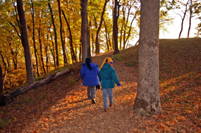 Kids hiking through upland forest trail