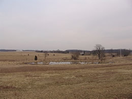 A wetland area just east of the Redding Farm