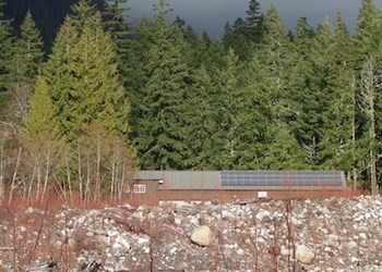 Paneles solares en el tejado de un edificio rodeado de bosque.