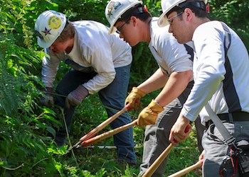 Tres jóvenes usando cascos y guantes de faena trabajan encorvados cortando vegetación.