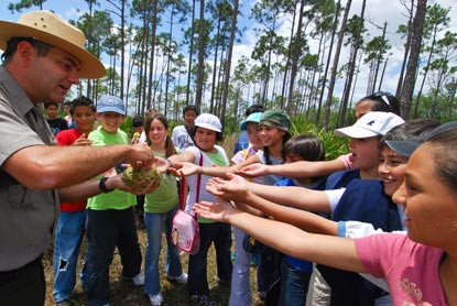Ranger with students in Everglades NP