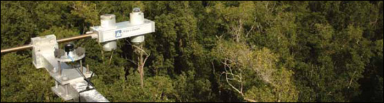 Meteorological Instruments Measure Carbon Dioxide Flux Above the Mangroves