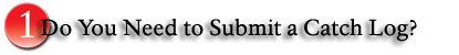 Do You Need to Submit a Catch Log?