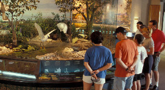 Ernest Coe Visitor Center