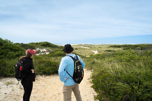 Two hikers look out on an expanse of dunes and the ocean.