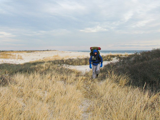 A hiker in winter jacket, gloves and wearing a frame pack hikes through the grassy swale on a winter beach.