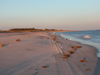 Sunset on a glowing beach.