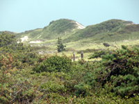 Back side of high dunes.