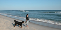 Woman walks her dog on the beach at edge of water.