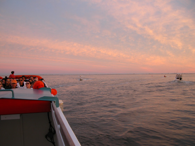 Ferry crosses the Great South Bay at sunset.